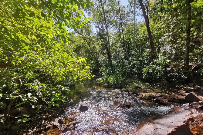 Litchfield Premium Day Tour, 10 guests only, lunch included - Wangi Falls: the easiest-access swim hole with year-round falls