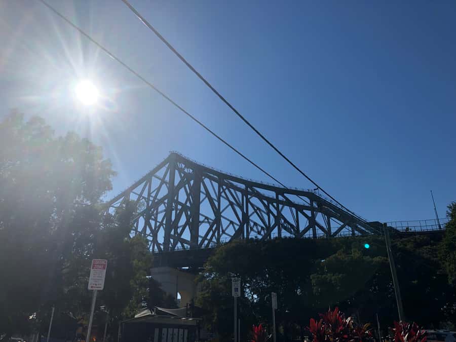 Lone Pine and Brisbane City Highlights - Key highlights you’ll actually use
