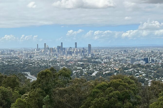 Lone Pine, Brisbane Highlights and Lunch! - Where you start: Ann Street and the City Hall meeting point