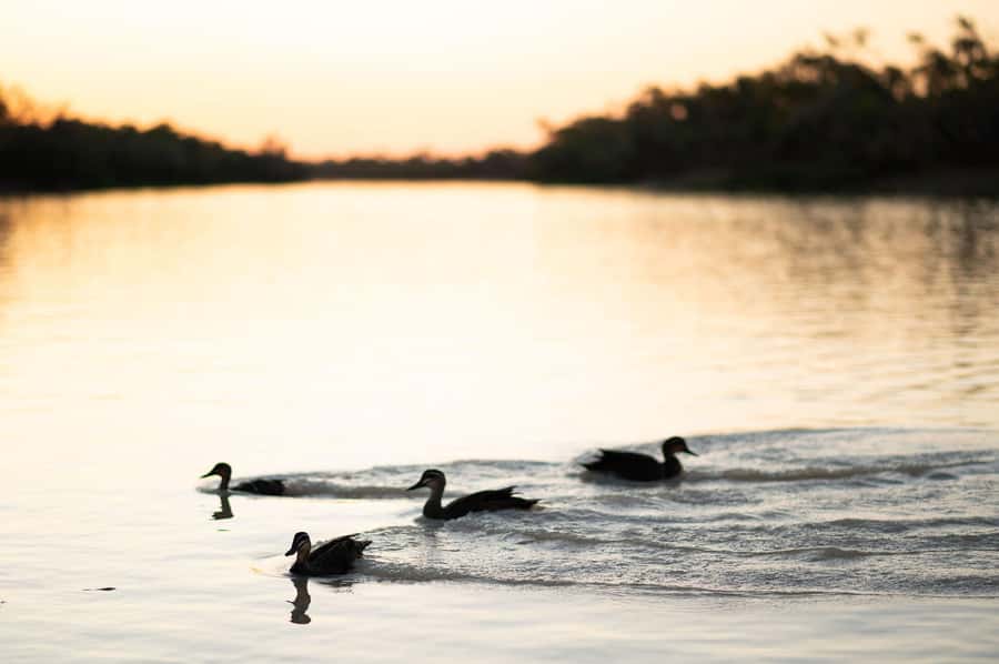 Longreach: Drover's Sunset Cruise & Outback Dinner & Show - Boat cruise: top-deck views, Captain stories, and complimentary nibbles