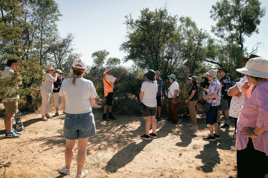 Longreach: Great Darr River Rail Run Outback Rail Adventure - The “land types” you’ll travel through (and why it’s worth paying attention)
