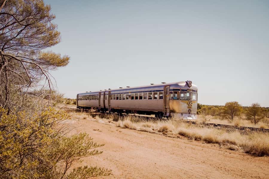 Longreach: Great Darr River Rail Run Outback Rail Adventure - Stop 1: the secret location and your guided Mulga Walk