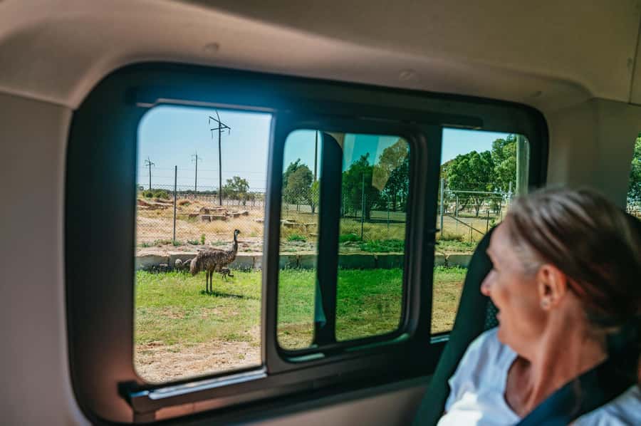Longreach History and Town Tour - Who This Tour Fits Best (And Who Might Want Something Longer)