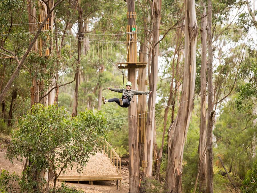 Lorne: Live Wire Park Super Circuit Ticket - Live Wire Park Super Circuit in Lorne: what you’re really signing up for