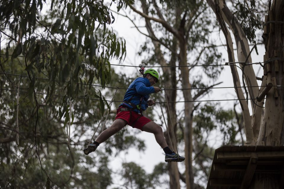 Lorne: Live Wire Park Super Circuit Ticket - Practical planning tips before you go