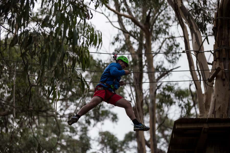 Lorne: Live Wire Park Super Circuit Ticket - 2 hours on the course: how the Super Circuit session tends to feel