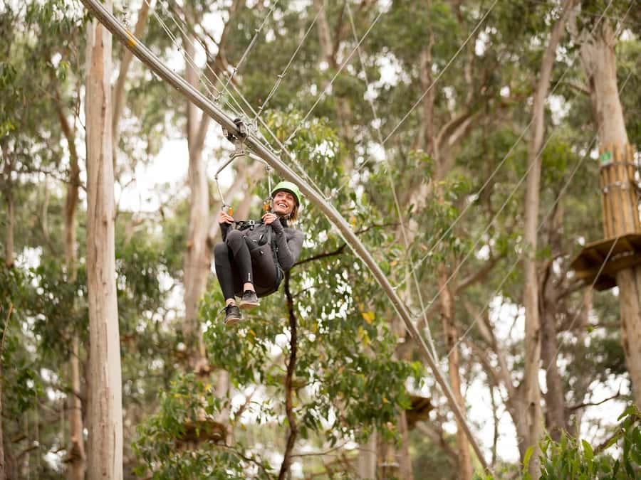 Lorne: Live Wire Park Ticket with Zip Line Rollercoaster - The Shockwave ZipCoaster: 525 meters through the trees