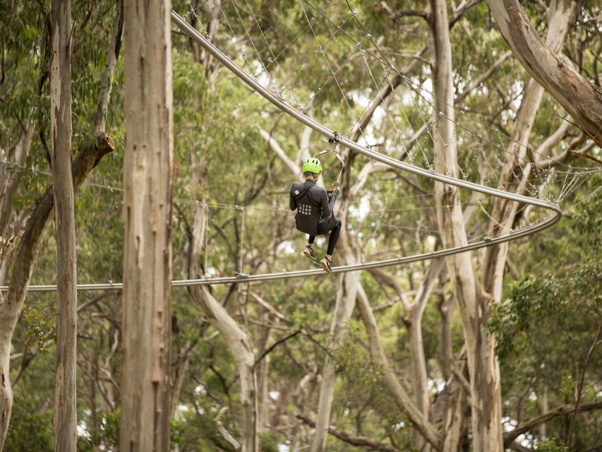 Lorne: Live Wire Park Ticket with Zip Line Rollercoaster - How to fit this into an Otways or Lorne day