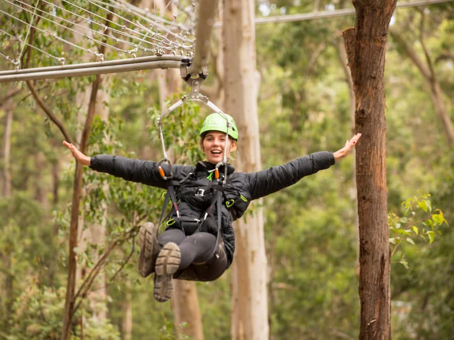 Lorne: Live Wire Park Ticket with Zip Line Rollercoaster - Building 1 check-in and the few rules you should plan for
