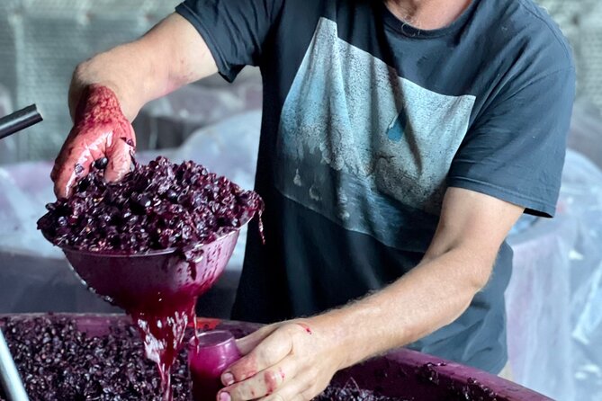 Luke's McLaren Vale Wine Tour - Practical Tips So You Don’t Waste Money or Time