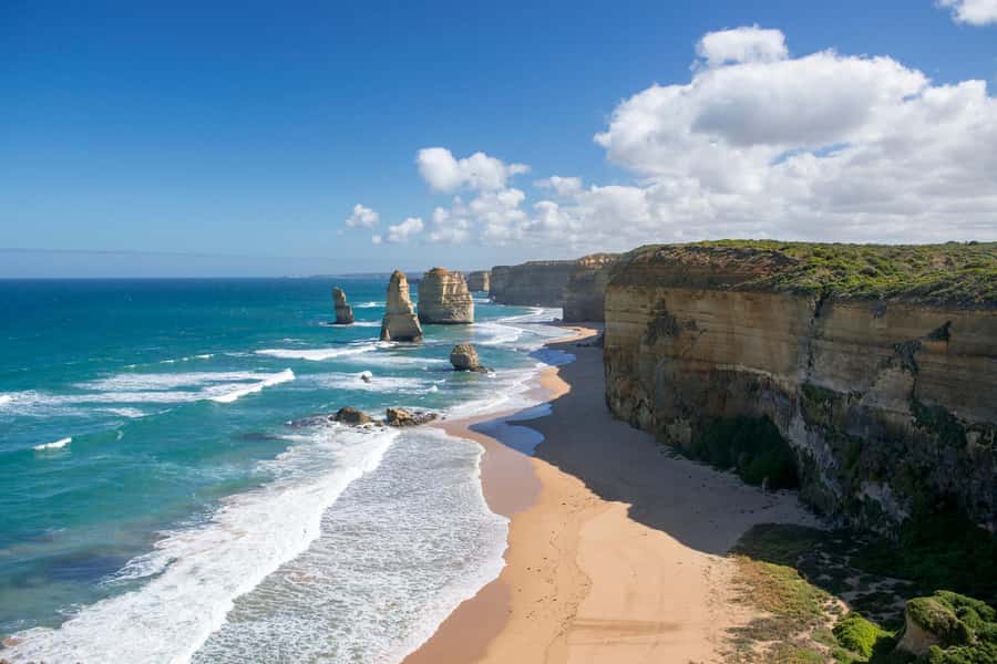 Luxe Bus Great Ocean Road Coastal Spectacular - Gorge Chocolates and Suri Alpaca Feeding: A Fun Detour That Works