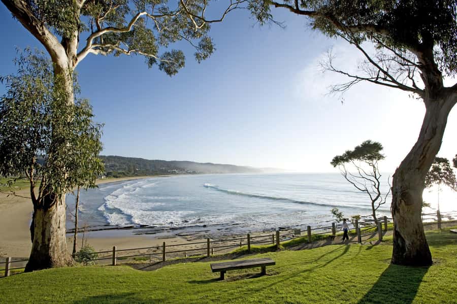 Luxe Bus Great Ocean Road Coastal Spectacular - The 12 Apostles and Loch Ard Gorge: Where the Photos Actually Pay Off