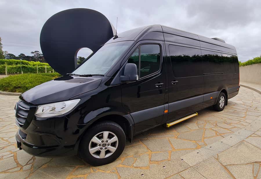Luxe Bus Great Ocean Road Coastal Spectacular - Wildlife Wonders Sanctuary: Guided Walk, Wildlife Viewing, and Lunch