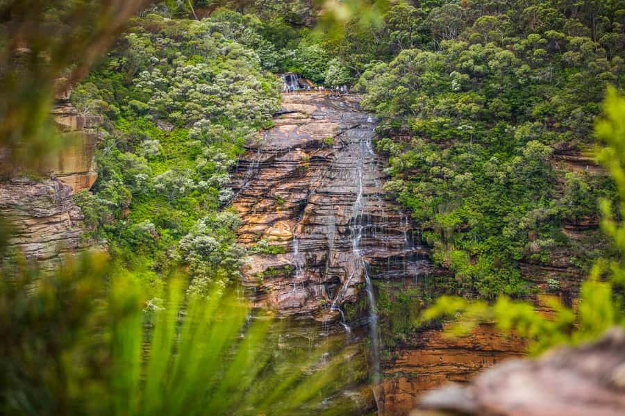 Luxury Blue Mountains Escape The Crowds Tour - Luxury Blue Mountains Escape: What makes it feel different