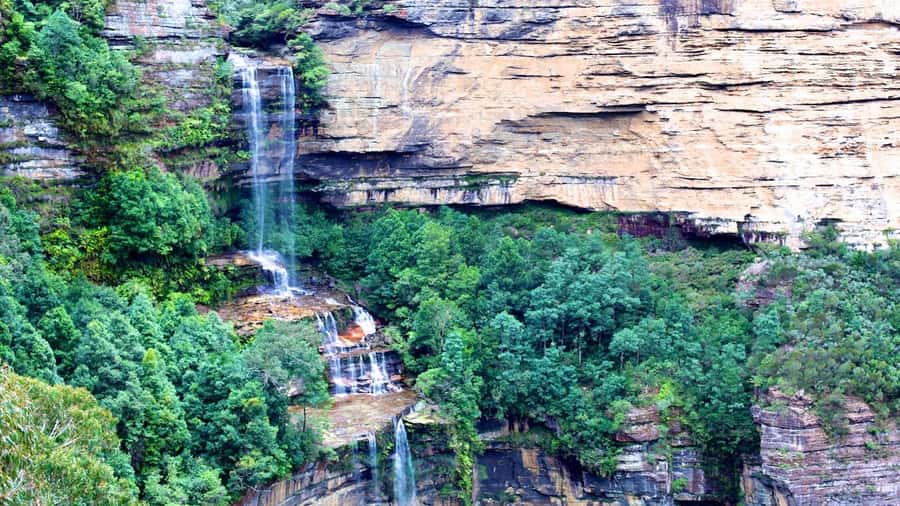 Luxury Blue Mountains Escape The Crowds Tour - Small group vs private: how crowd levels shape the whole day