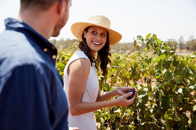 Luxury Hunter Valley Tour: 3 Tastings, Gin, Lunch & Chocolatier - Key things I’d plan around before you go