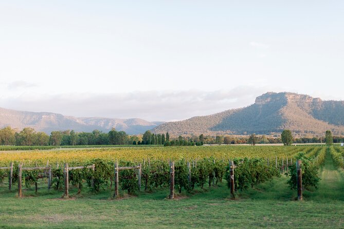 Luxury Hunter Valley Tour: 3 Tastings, Gin, Lunch & Chocolatier - The practical stuff: timing, alcohol pace, and what to wear