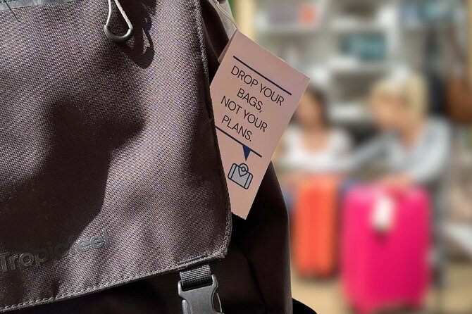Luxury Mini Bus - Sydney Airport Transfers - The good and the not-so-good: what to trust from the reviews