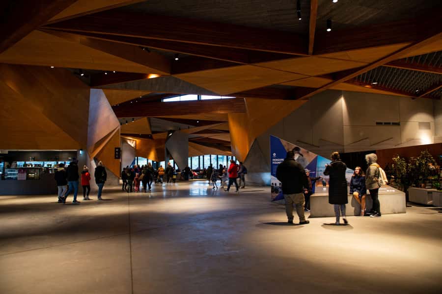 Luxury Phillip Island Tour for Families & Explorers 10 Max - Your choice at midday: chocolate factory stop or Cape Woolamai Beach