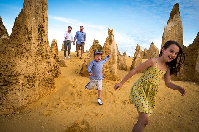 Luxury Pinnacles Tour- Private Chauffeur-Tailored Schedule - Lancelin Sand Dunes: a dune stop that fits the pace