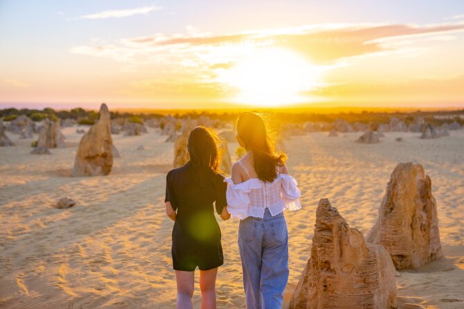 Luxury Pinnacles Tour- Private Chauffeur-Tailored Schedule - The Pinnacles: lookouts, beaches, and roadside wildflowers