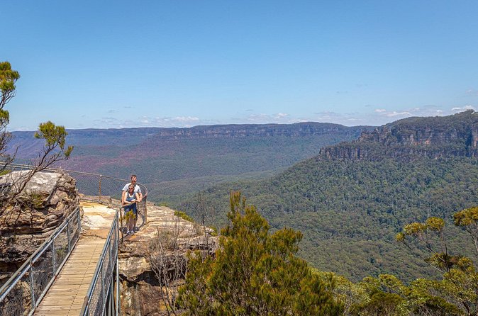 Luxury Small Group of 5 Blue Mountains Escape Tour - Value check: does $247.45 per person make sense?
