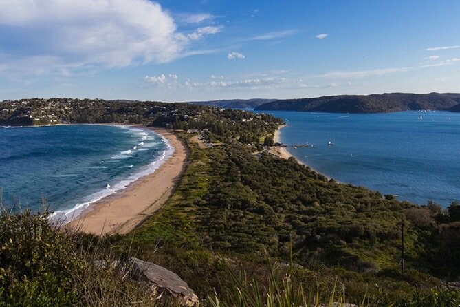 Luxury Sydney Tour - Photo Stops and Short Walks: How Chauffeurs Make Sydney Easier