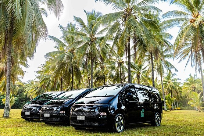 Luxury Van, Private Transfer, Cairns Airport - Port Douglas. - When “luxury van” needs a quick check