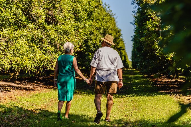Macadamias Australia Orchard Tour in Bundaberg - Key highlights at a glance