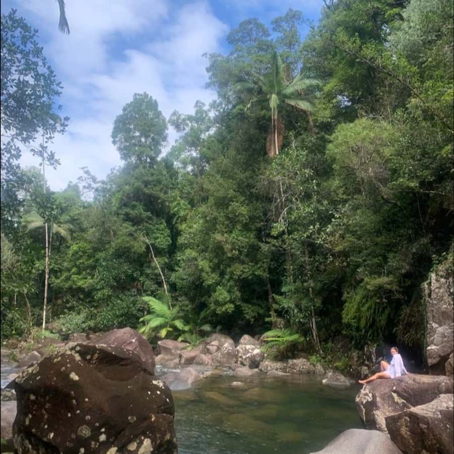 Mackay: Finch Hatton Gorge Hike, Swim & Platypus Adventure - Hitting the Rainforest Road from Mackay (Pioneer Valley to Eungella)