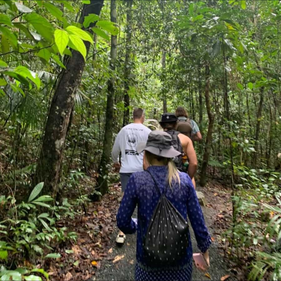 Mackay: Finch Hatton Gorge Hike, Swim & Platypus Adventure - Finch Hatton Gorge: Guided Walk, Waterfall Views, and the Rock Pool Swim