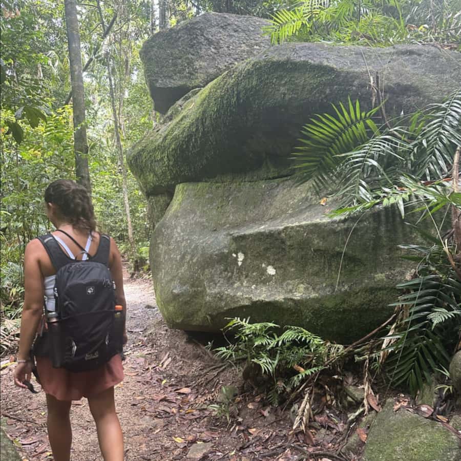 Mackay: Finch Hatton Gorge Hike, Swim & Platypus Adventure - Eungella National Park: How the Platypus Spotting Works (and Why It’s Worth Waiting)