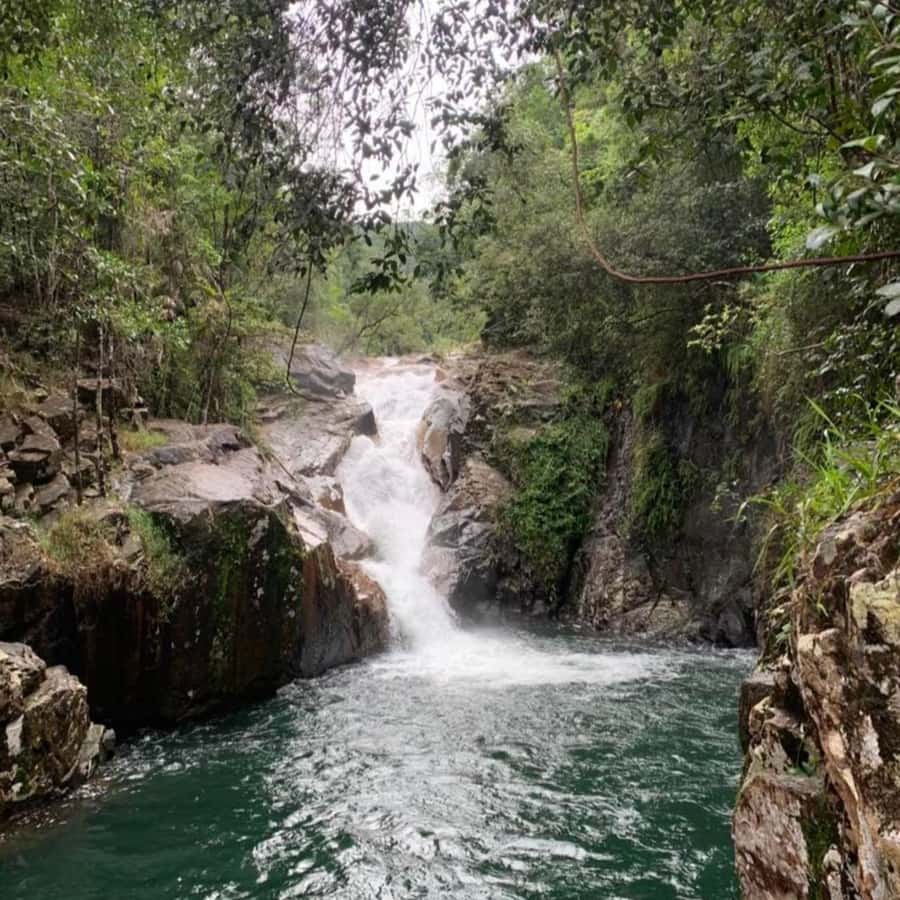 Mackay: Finch Hatton Gorge Hike, Swim & Platypus Adventure - Lunch at an Aussie Pub: Simple, Convenient, and Surprisingly Important