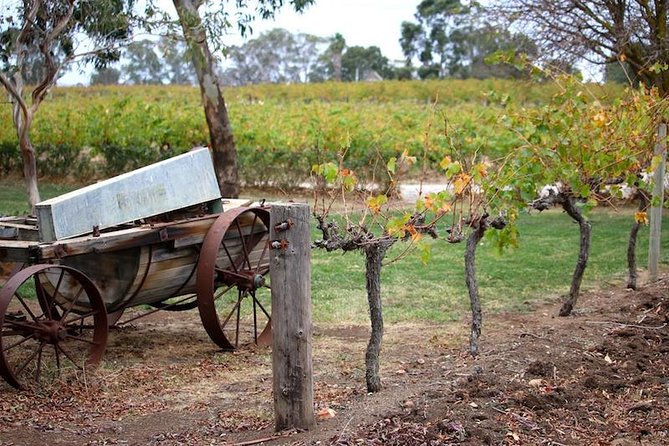 Maggie Beer Farm - Barossa Valley Regional Tour - Whispering Wall, chocolate in Tanunda, and Mengler’s Hill viewpoints