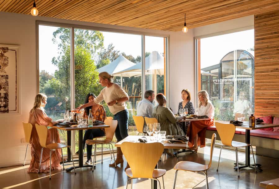 Maggie Beer's Farm: Cooking Demonstration with Lunch & Wine - Pheasant Farm wines or Orchard gin: tasting like you mean it