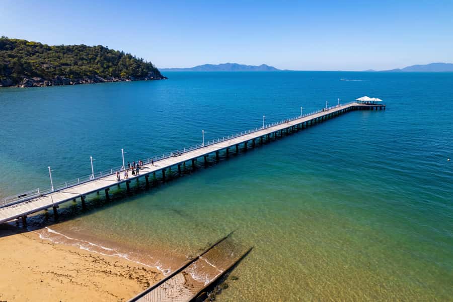 Magnetic Island: Behind the Scenes Tour - Nelly Bay Habitat Reserve: A Small Walk With Big Payoff
