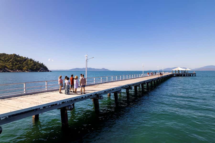 Magnetic Island: Private Guided Tour including Koalas - Tim Bee, local eyes: why a private koala tour feels different