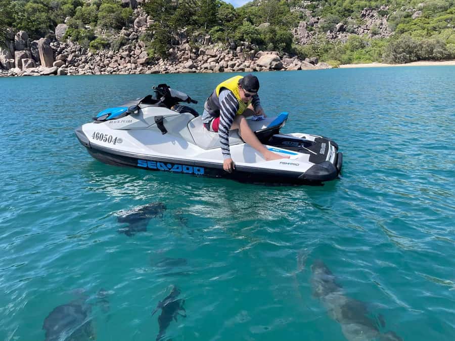 Magnetic Island Snorkel Jet Ski Tour - Key highlights worth planning around
