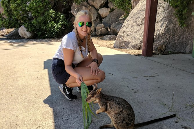 Magnetic Island Tour: Maggie Comprehensive - Key highlights worth factoring in