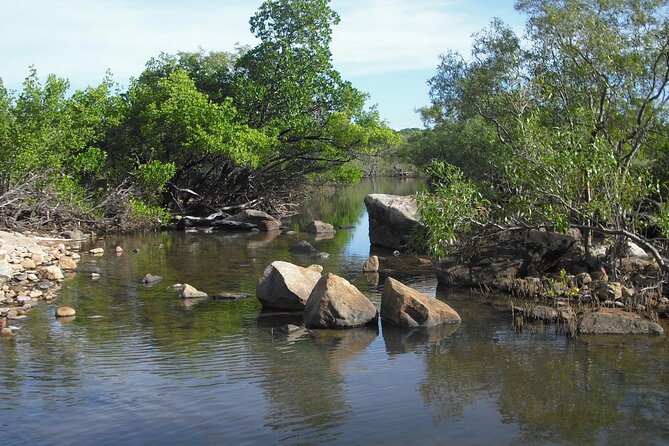 Magnetic Island: West Coast Eco Adventure - History, Indigenous culture, and World Heritage highlights (without turning it into a lecture)