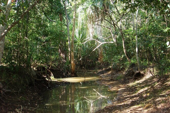 Magnetic Island: West Coast Eco Adventure - Who this tour is best for on Magnetic Island
