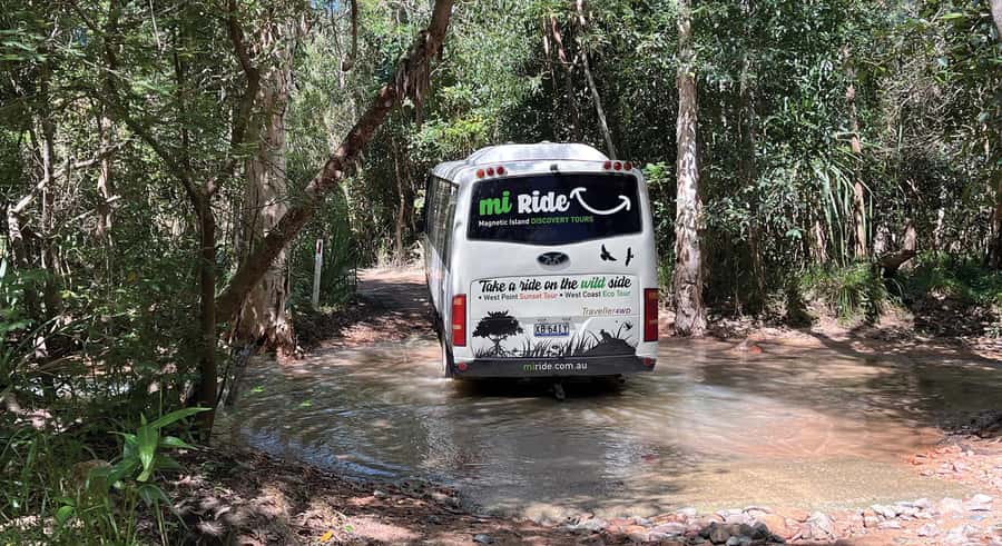 Magnetic Island: West Coast Eco Adventure Bus Tour - Key points before you go