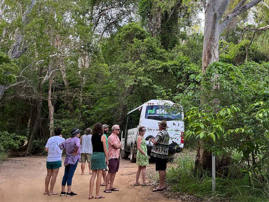 Magnetic Island: West Coast Eco Adventure Bus Tour - Why Magnetic Island’s west coast feels different