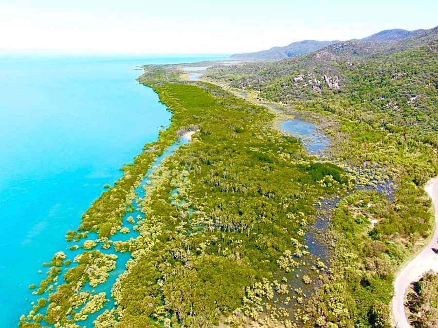 Magnetic Island: West Coast Eco Adventure Bus Tour - All-terrain transport and the comfort details that matter