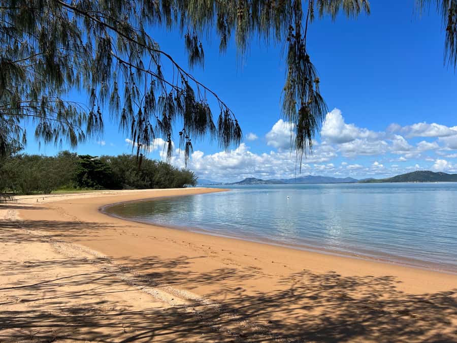 Magnetic Island: West Coast Eco Adventure Bus Tour - The mid-morning break: coffee, tea, snacks, and breathing room