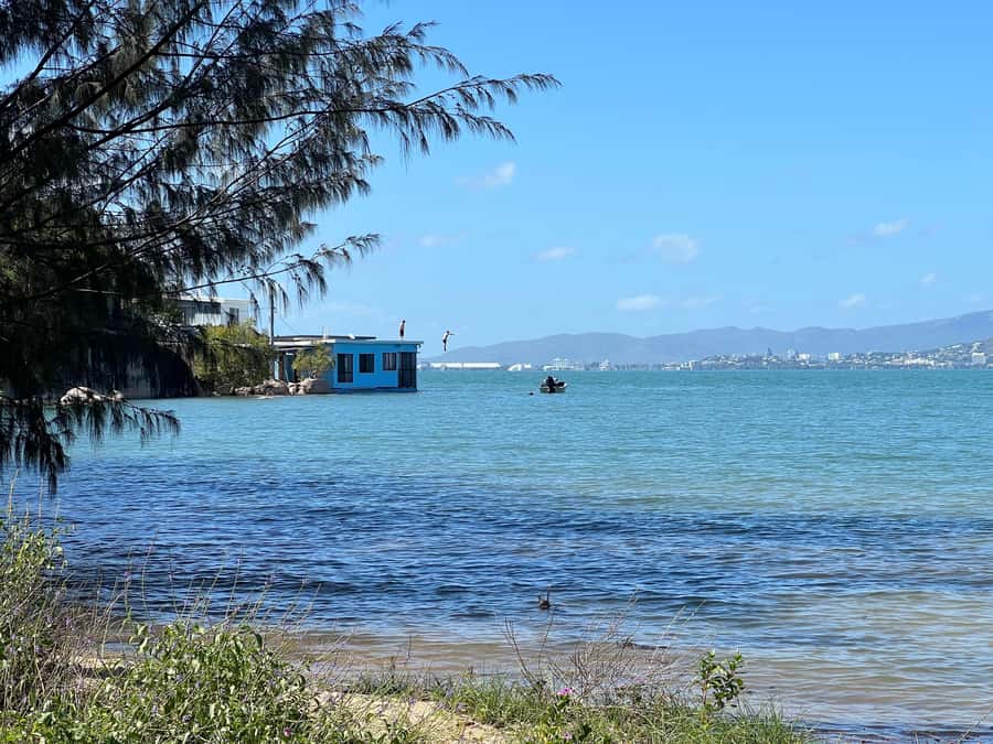 Magnetic Island: West Coast Eco Adventure Bus Tour - Weather, tides, and how to plan without stress