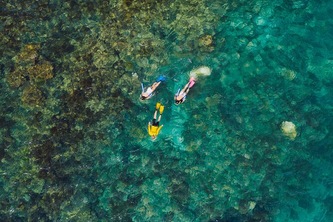 Magnetic Islands Three Bays in Three Ways (Private Tour) - Arthur Bay: The Snorkel Stop That Sets the Tone