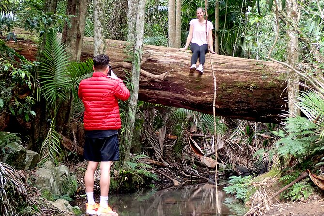 Maiala Rainforest Tour - Cypress Grove Track: a shorter detour that adds contrast