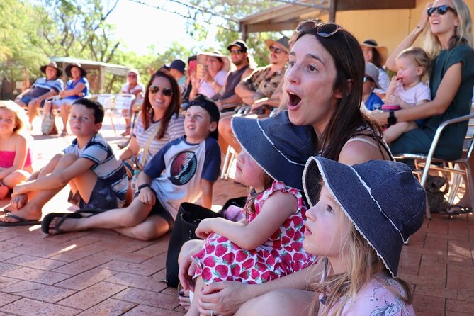 Malcolm Douglas Crocodile Park Tour Including Transportation - Price Value: What You’re Getting for About $57