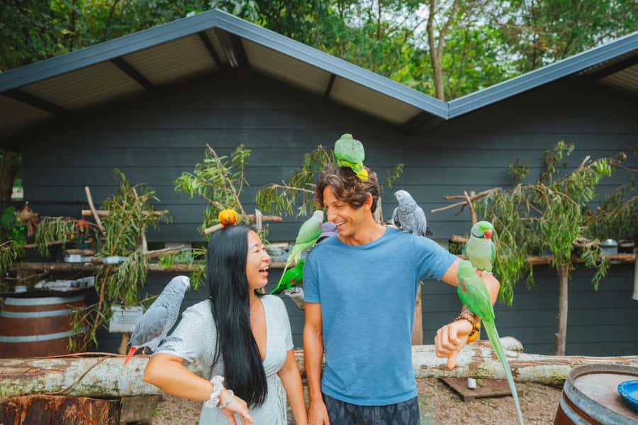Maleny: Maleny Botanic Gardens & Bird World Entry Ticket - Why this Maleny bird and garden day works so well for families